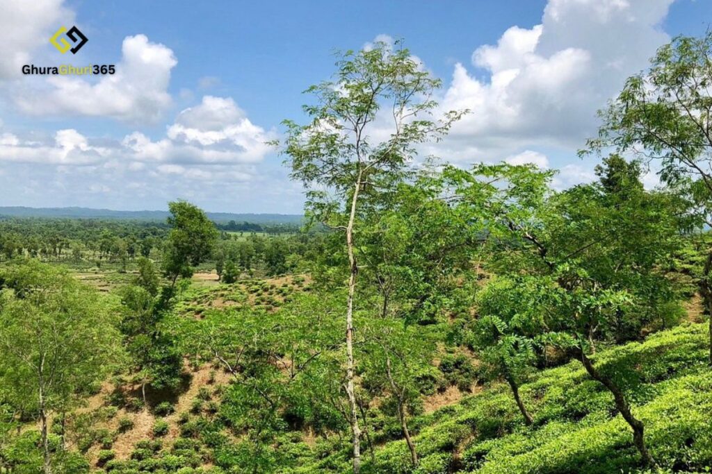 মাধবপুর লেক