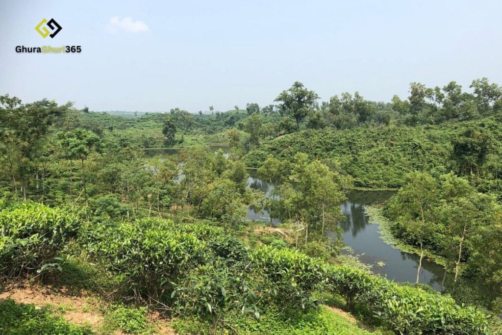 মাধবপুর লেক