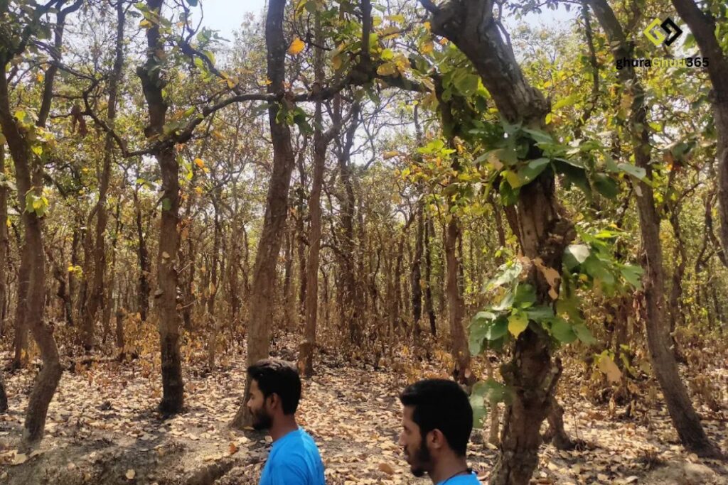 ভাওয়াল ন্যাশনাল পার্ক