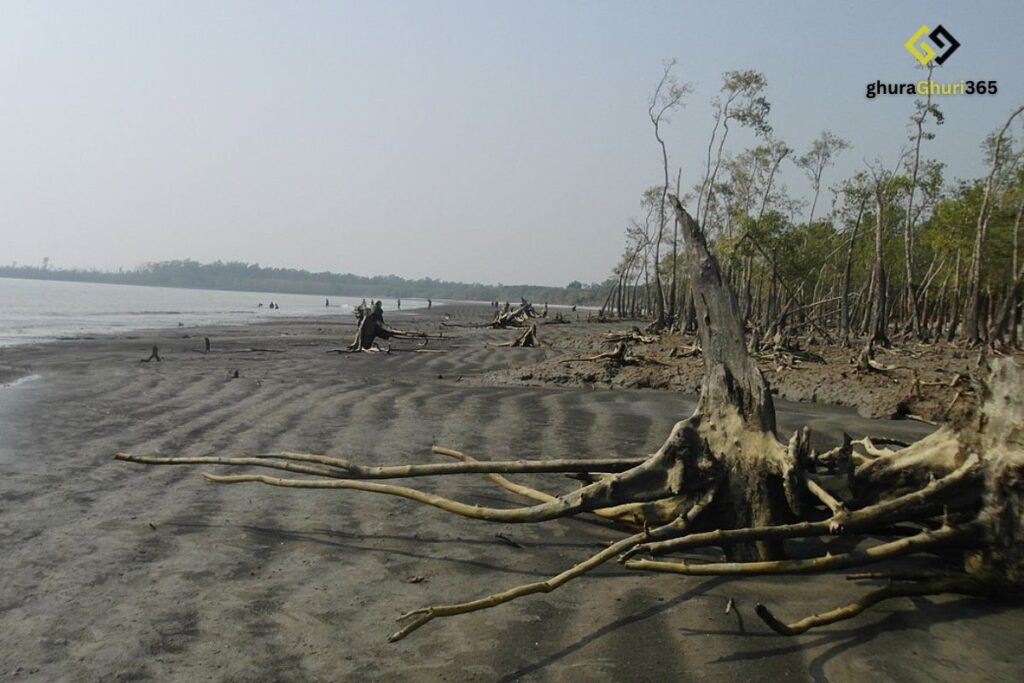 কটকা সমুদ্র সৈকত