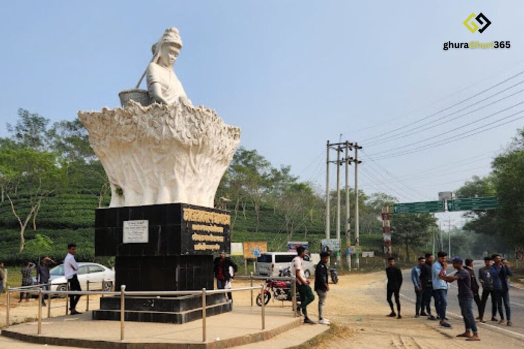শ্রীমঙ্গল