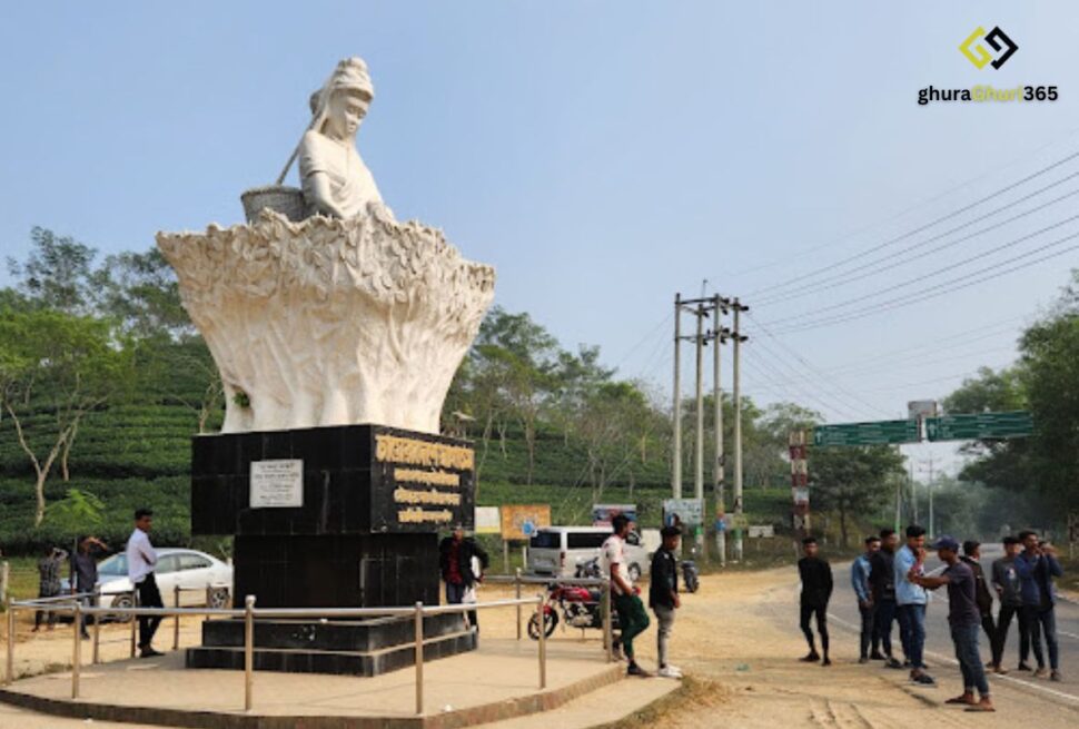 শ্রীমঙ্গল