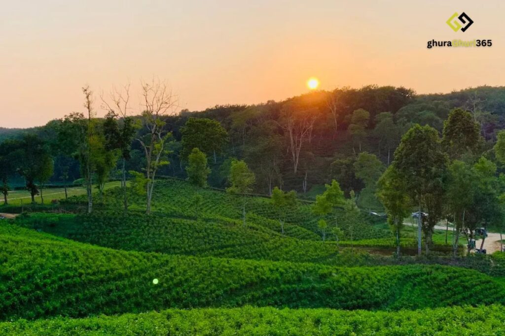 শ্রীমঙ্গল