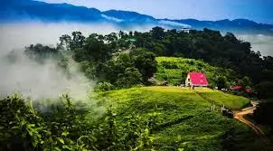 Sajek Valley ( সাজেক ভ্যালি )