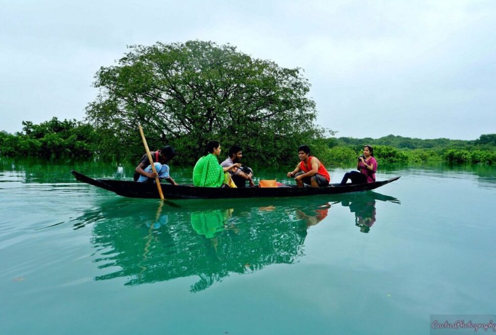 রাতারগুল সোয়াম্প ফরেস্ট