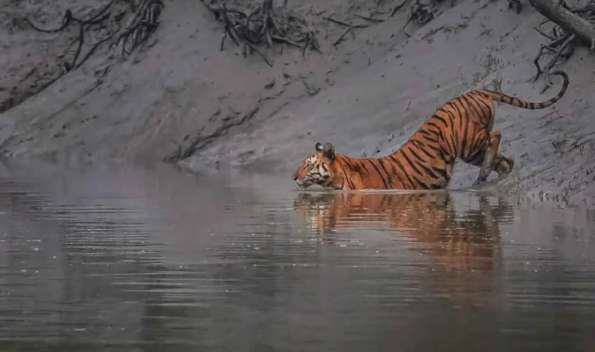 বাংলাদেশের সেরা ২০টি ভ্রমণ গন্তব্য | Top 20 Tourist Places in Bangladesh 2025