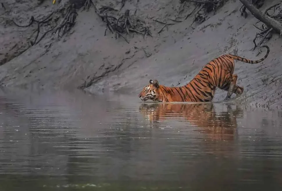 Top 20 Tourist Places in Bangladesh 2025