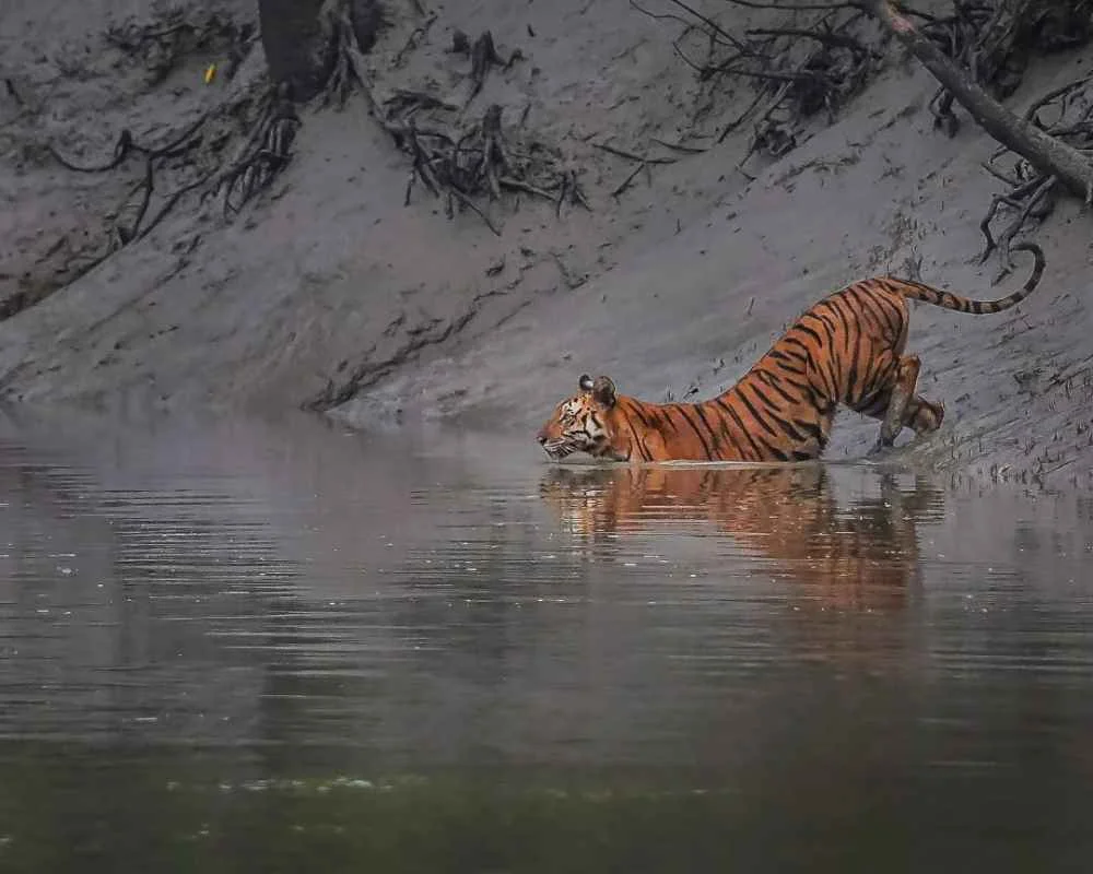 Top 20 Tourist Places in Bangladesh 2025