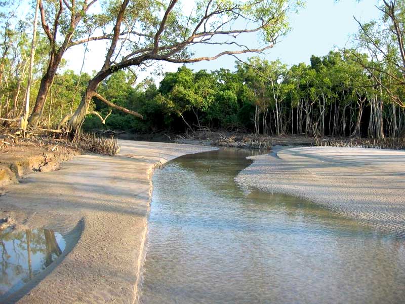 কটকা সমুদ্র সৈকত