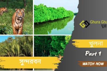 সুন্দরবন