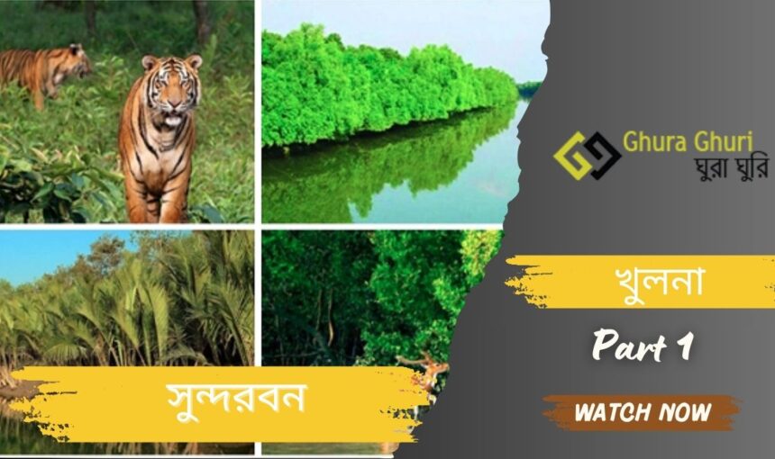 সুন্দরবন ভ্রমণের জন্য সম্পূর্ণ গাইডলাইন ২০২৫