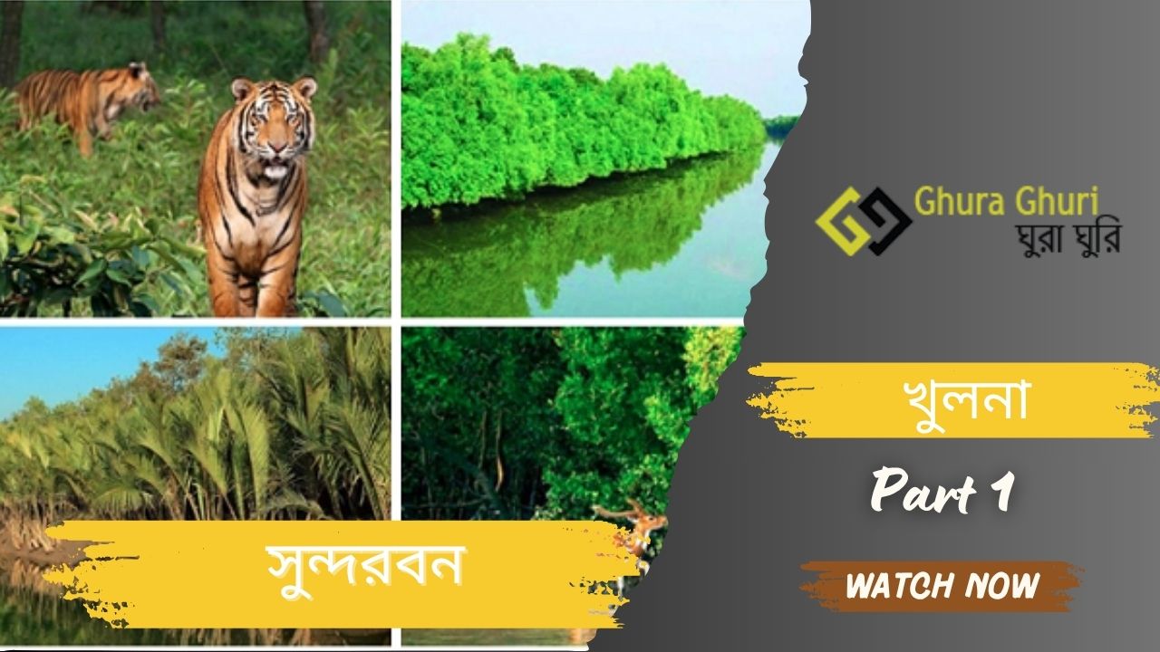 সুন্দরবন ভ্রমণের জন্য সম্পূর্ণ গাইডলাইন ২০২৫