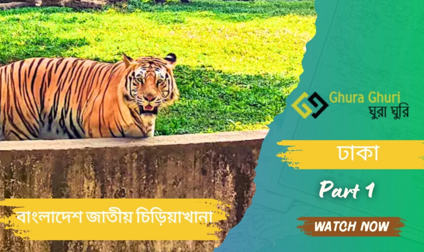 বাংলাদেশ জাতীয় চিড়িয়াখানা, ঢাকা – ভ্রমণ গাইড