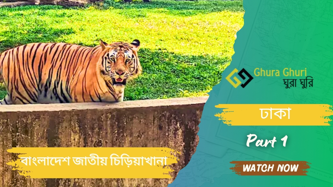 বাংলাদেশ জাতীয় চিড়িয়াখানা, ঢাকা – ভ্রমণ গাইড
